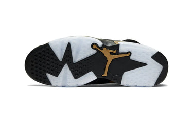Air Jordan 6 Retro DMP (2020)