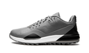 Air Jordan ADG 3 Golf Cool Grey