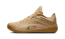 Air Jordan Zion 4 Voodoo