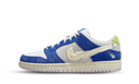 Fly Streetwear x Nike SB Dunk Low Pro