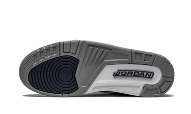 Air Jordan 3 Retro Georgetown (2021) Next Step