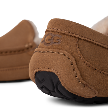 UGG Ascot Slipper Chestnut Next Step