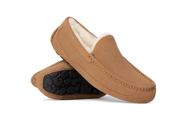 UGG Ascot Slipper Chestnut Next Step