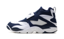 Nike Air Diamond Turf Cowboys