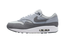 Nike Air Max 1 '87 Photon Dust Wolf Grey