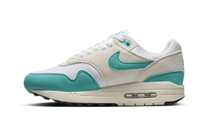 Nike Air Max 1 Dusty Cactus