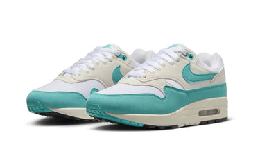 Nike Air Max 1 Dusty Cactus