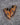 Nike Air Max 1 King’s Day - View 3 | Next Step