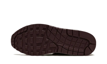 Nike Air Max 1 SP Concepts Mellow Next Step