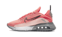Nike Air Max 2090 Bleached Coral