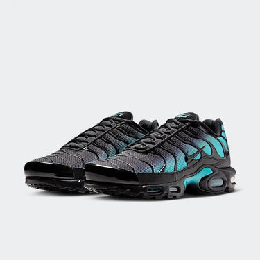 Nike Air Max Plus Black Dusty Cactus Next Step