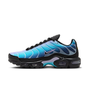 Nike Air Max Plus Black Hydrangeas