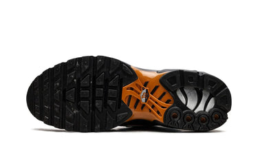 Nike Air Max Plus Dark Obsidian Monarch Next Step