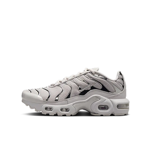 Nike Air Max Plus Light Iron Ore Gym Red Smoke Grey Metallic Silver