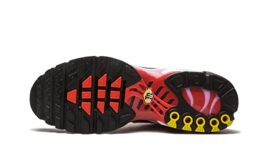 Nike Air Max Plus Sherbert Next Step