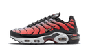 Nike Air Max Plus Sisterhood