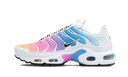 Nike Air Max Plus Summer Gradient