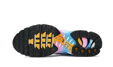 Nike Air Max Plus Summer Gradient Next Step