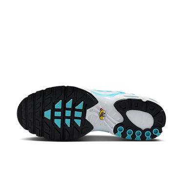 Nike Air Max Plus White Polarised Blue
