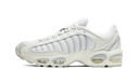 Nike Air Max Tailwind IV Pure Platinum