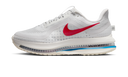 Nike Air Zoom Pegasus Premium Forrest Gump
