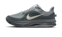 Nike Air Zoom Pegasus Premium Wolf Grey