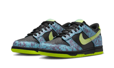 Nike Dunk Low Acid Wash Next Step