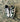 Nike Dunk Low Fir Midnight Navy - FV6911-300 - View 2 | Next Step
