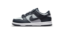 Nike Dunk Low Georgetown (PS)