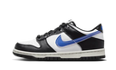 Nike Dunk Low Next Nature TPU Swoosh