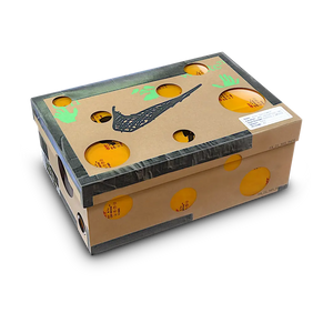 Nike Dunk Low Off-White Lot 28