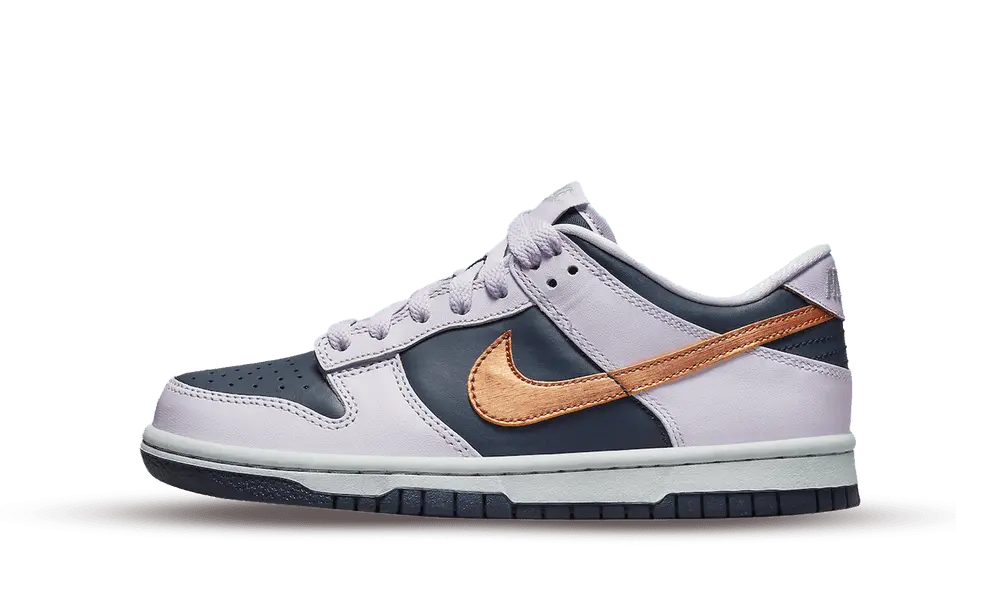 Nike Dunk Low SE Copper Swoosh (GS) Next Step