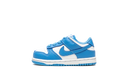 Nike Dunk Low UNC (2021) (TD)