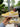 Nike Dunk Low Yellow Gingham - DZ2777-700 - View 2 | Next Step