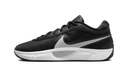 Nike Giannis Zoom Freak 6 Black White