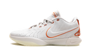 Nike LeBron 21 Akoya