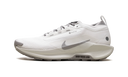 Nike React Pegasus Trail 5 Gore-Tex SP Summit White College Grey Bone