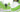 Nike SB Dunk Low Supreme Stars Mean Green (2021) - DH3228-101 - View 3 | Next Step