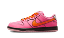Nike SB Dunk Low The Powerpuff Girls Blossom