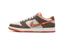 Nike SB Dunk Low x Crushed Skate Shop