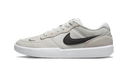 Nike SB Force 58 Photon Dust