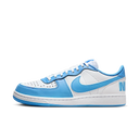 Nike Terminator Low University Blue