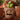 Pop Mart Labubu The Monsters Almost Hidden Series Figures - labubu-almosthidden-sbx-labubu-almosthidden-wst - View 6 | Next Step