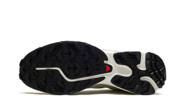 Salomon XT-6 Aloe Wash Feather Grey