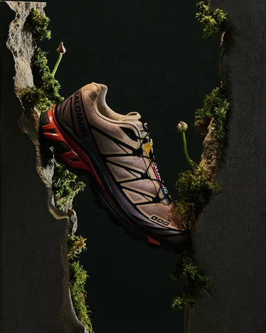 Salomon XT-6 Hazelnut Quail