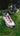 Salomon XT-6 NAKED Copenhagen
