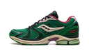 Saucony ProGrid Triumph 4 Jae Tips Flowers Grow Uptown Sugar Maple