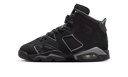 Air Jordan 6 Retro Cap and Gown
