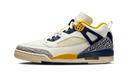 Air Jordan Spizike Low Michigan