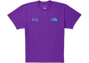 KAWS x The North Face T-Shirt Gravity Purple